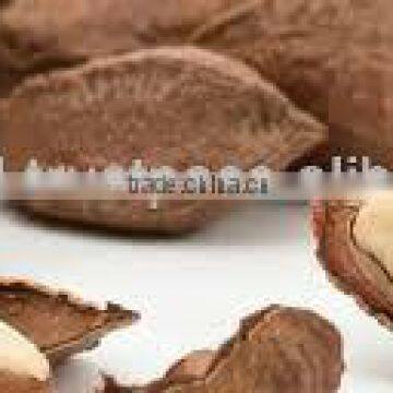 BRAZIL NUTS