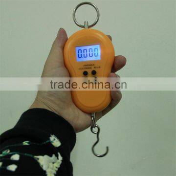 Hand Hold Weighing Scale With Hook