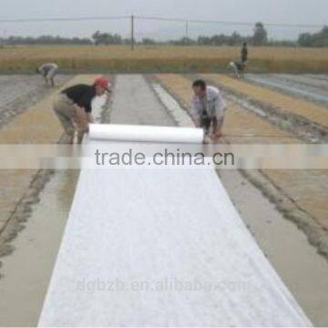 Landscape PP Nonwoven Fabric