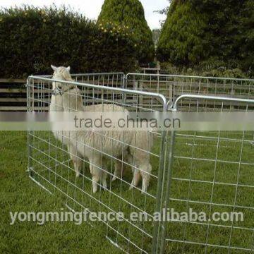 Galvanized steel sheep yard panels