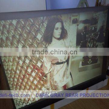 Supply Rear Projector Screen Material Clear Film From $35