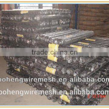 AnPing BoHeng Chicken Wire Mesh photo-3