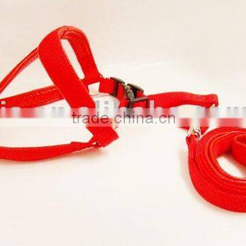 Fashion Pet Leash and Harness