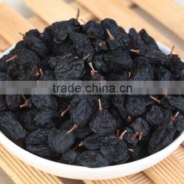 seedless Black Currant Raisin Xinjiang Raisin dried fruits supplier