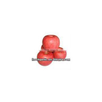 Famous China YanTai Best Price Fresh Fuji Apple photo-5