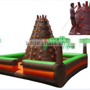 Palm Tree Inflatable Climbing Wall photo-2