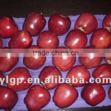 fresh huaniu apple 2015