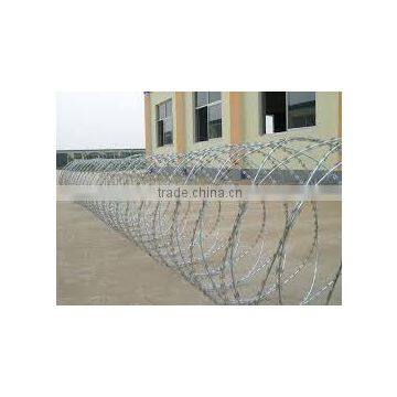 Hot Popular Concertina Razor Wire Direct Form Factory photo-3