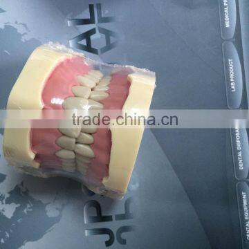 Phantom Head Manikin Simulation photo-4