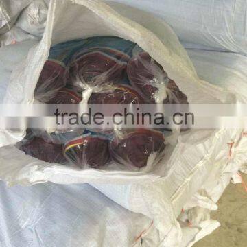 HDPE 18 Mesh Woven Nylon Net(Best Price With High Quality,short Delivery Time and Good Aftersales Service) photo-3