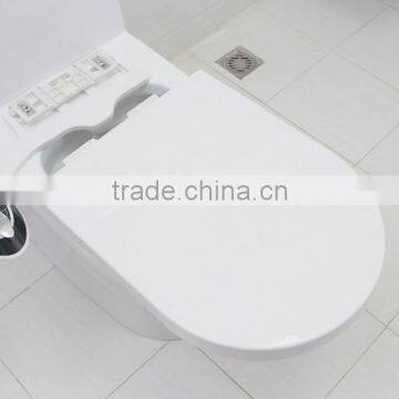 Bidet Spray Water Ssprayer Nozzle AMI630 photo-2