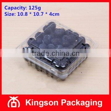 Recyclable Plastic 125g Blueberry Box Wholesale