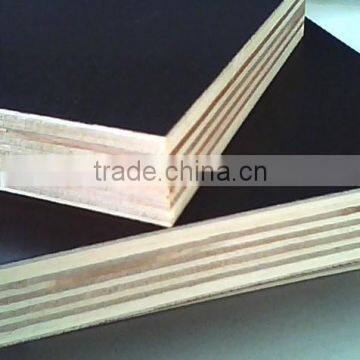 China 18mm waterproof plywood