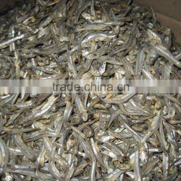 BOILED DRIED ANCHOVY, BOILED FISH EXPORT (Email: katherine.vilaconic@gmail.com , Viber, Whatsapp: +841687264621)