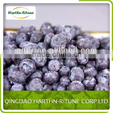 New Crop Frozen blueberry