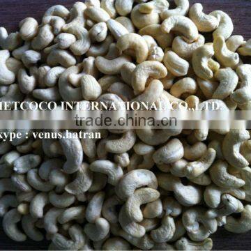 Vietnam Dried Cashew Nuts W240