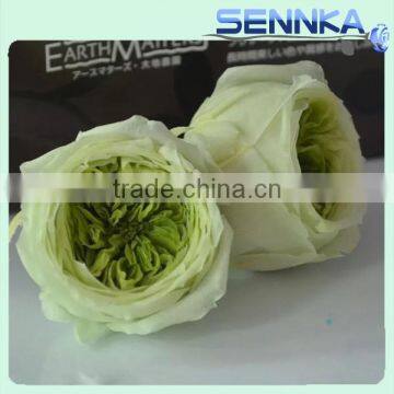 Weddings decoration Flower Fresh Green Rose High Quality natural preserved austin roses