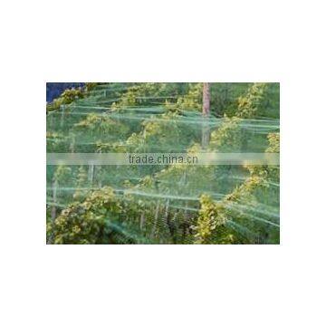 ISO9001:2008 Alibaba China low price anti-bird netting with high quality for sale