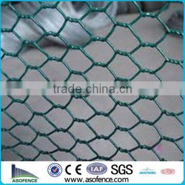 PVC Coated Hexagonal Wire mesh(Anping A.S.O Factory)