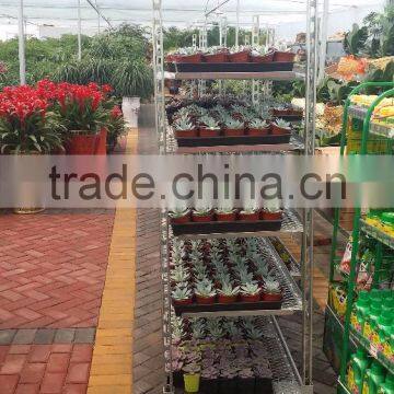 316 Conservatory Car Flower Transport Trolley Cart photo-3