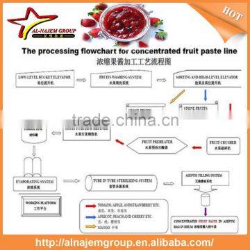 Best Price Full Automatic Industrial Stawberry Sauce Maker Machine High Viscosity Production Line Strawberry Paste photo-6