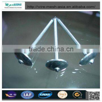 2017 Zinc Galvanized Nail Sizes Factory Direct photo-3