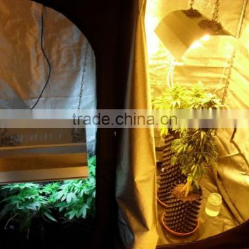 Non-toxic mini green house, green house polycarbonate, green house tents