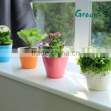 high quality colorful small mini decorative plastic flowers pot home and office decoration