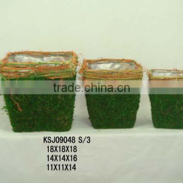 moss flower pot 09048