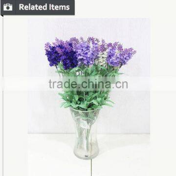 Small Decorative Flower Lavender Plant for Home and Hotel Usage photo-5