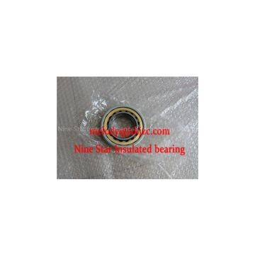 6024M/C3VL0241 insulated bearing