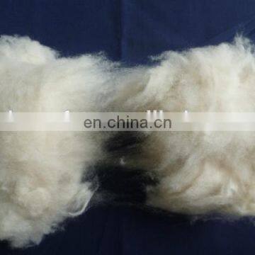 100% Fine carded and dehaired Inner Mongolian cashmere fiber Lt.grey