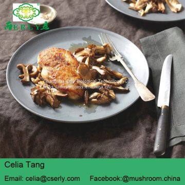 Shiitake Mushroom photo-4