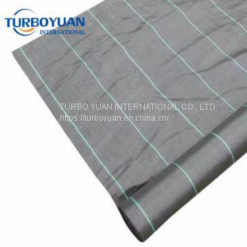 Dust Control Polypropylene Anti-weed Mat Supplier photo-2
