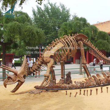 LORISO3022 Museum Quality Fossil Artificial Dinosaur Skull Model