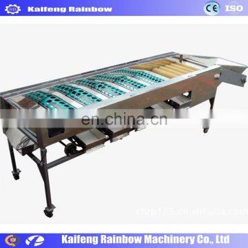 Factory Price Automatic Mango Grader Machine orange/lemon fruit washing waxing drying sorting machinery/production line