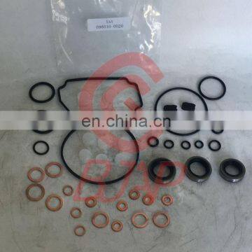 BJAP Pump Repair kit 096010-0020