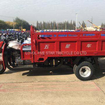 Gasoline Tricycle Double Shock Absorber Trike Three Wheeler Cargo Loader photo-4