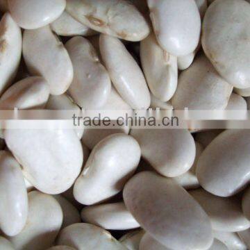 White Kindney Bean extract