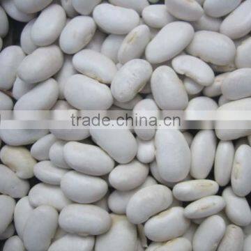 organic white kidney bean