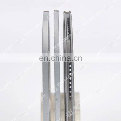 Wellfar Machinery Engine Parts OM906 A48940 106mm Diesel Engine Piston and Rings photo-2