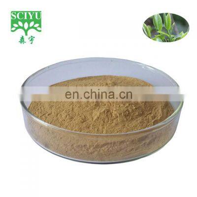 10YEAR factory , Tea Polyphenol, EGCG ,green tea extract powder