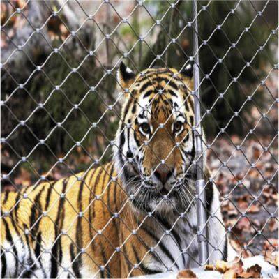 Zoo Cage Net 304 Zoo Cage Net, Zoo Cage Net Factory photo-2