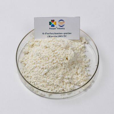 Natural Plant Endogenous Hormones Kinetin 6KT 99%TC Chemical