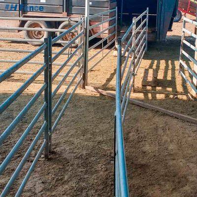 Moderne feuerverzinkte eiserne Pferdegehegeplatten, 6 Fuß hoch, nagetierfest, pulverbeschichtete Druckholzfencezubehör