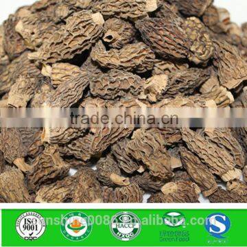 Grade A Dried Black Morels Morchella esculenta