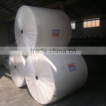 Spunbond Needle Punched Polyester Fiber Felt photo-2