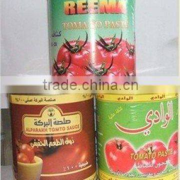 High quality hot sale Middle East market with brix 28-30% canned tomato paste