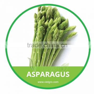 HIGH QUALITY FRESH ASPARAGUS