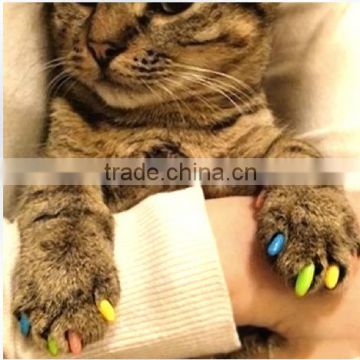 cat nail cover